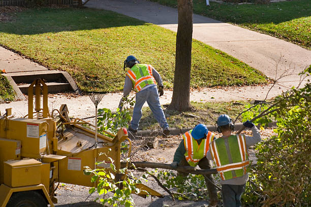 Best Commercial Tree Services  in Montecito, CA