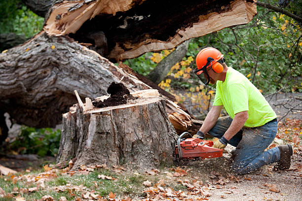 Soil Testing and Treatment in Montecito, CA